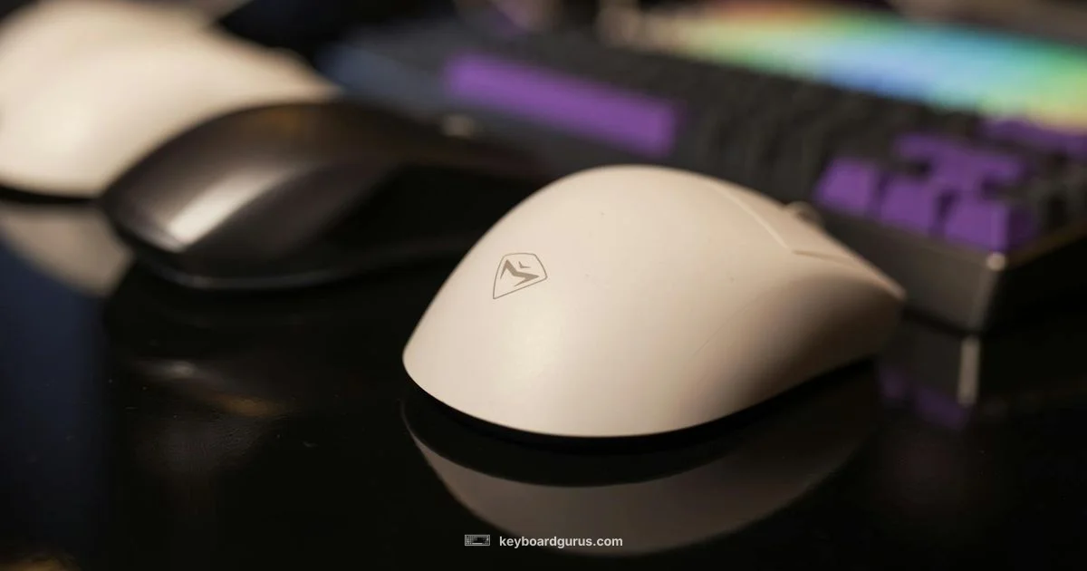 Alloy Core RGB Review - Keyboard Gurus