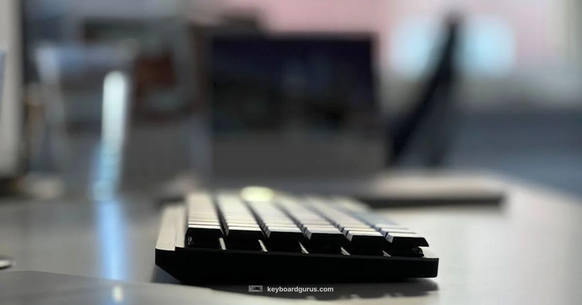 Qwerty Essentials - Keyboard Gurus