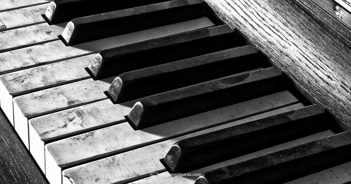 Piano Keyboard Picks - Keyboard Gurus