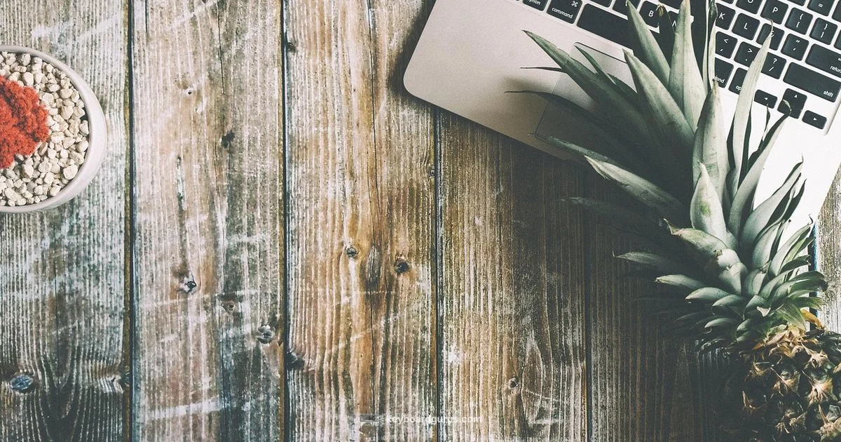 Best Company Keyboard 2026 Best Company Keyboard 2026 - Keyboard Gurus