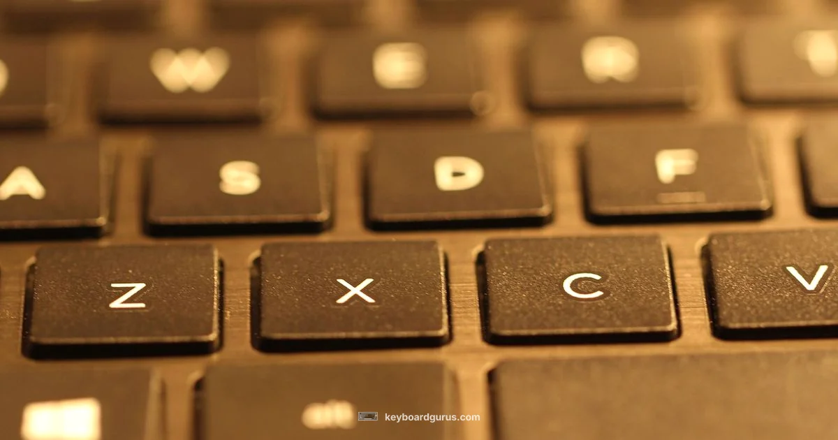 Brown Switch Guide - Keyboard Gurus