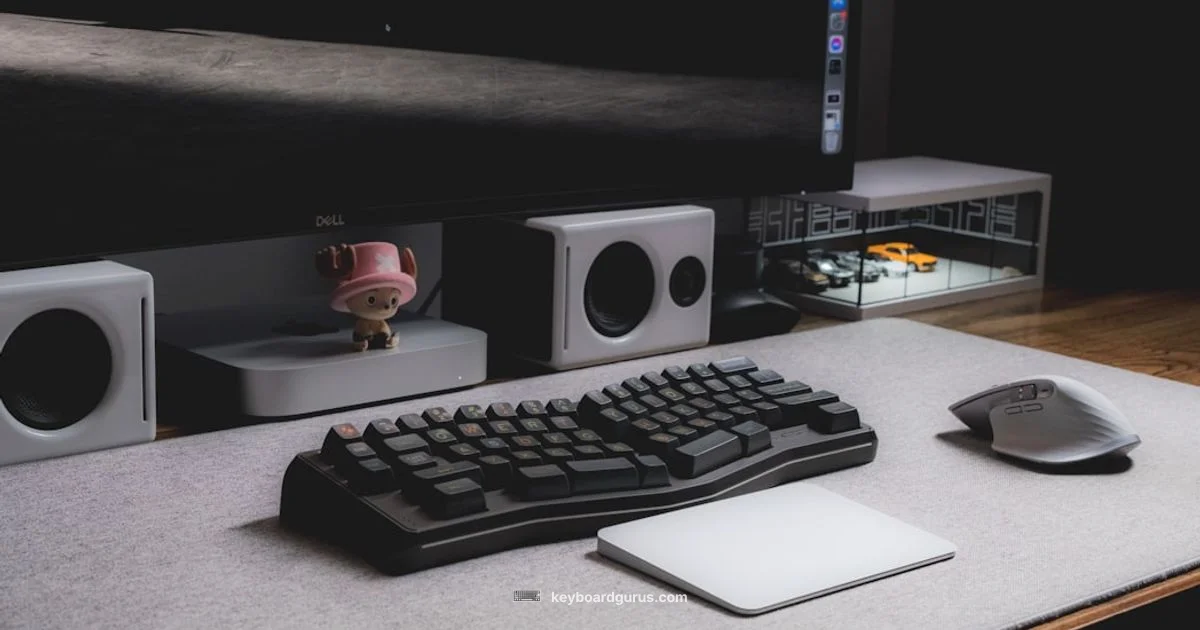 Ergonomic vs Regular - Keyboard Gurus