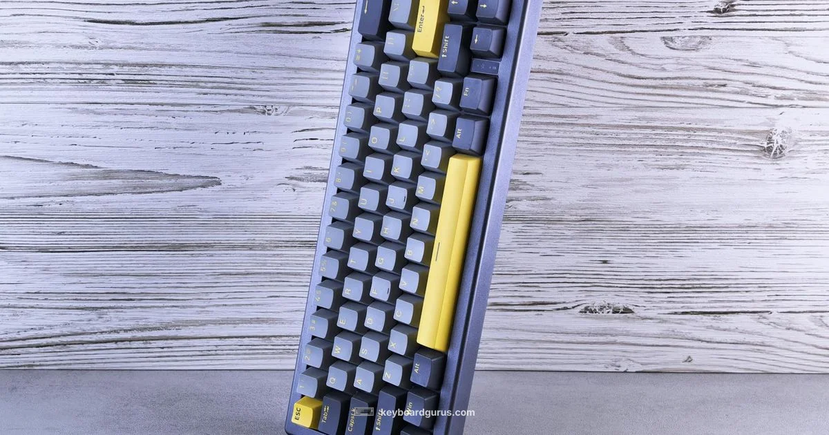 Good Keyboard Guide Good Keyboard Guide - Keyboard Gurus