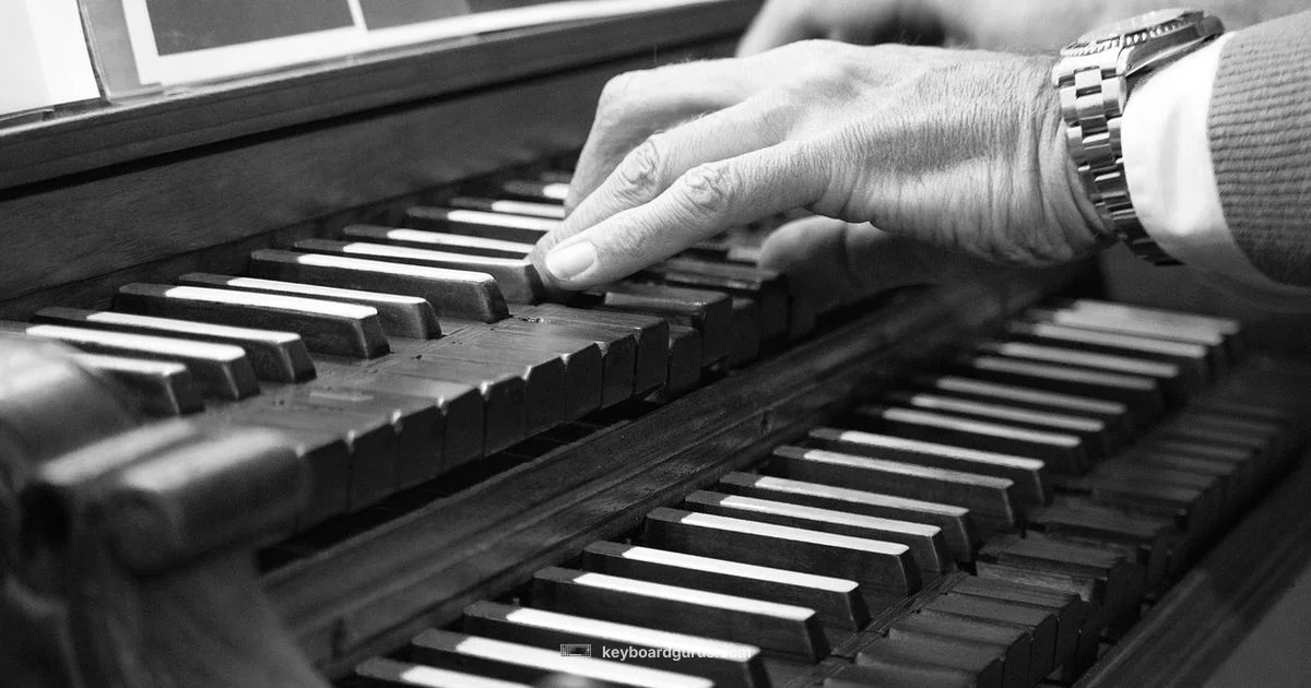 Keyboard and Organ Fusion - Keyboard Gurus