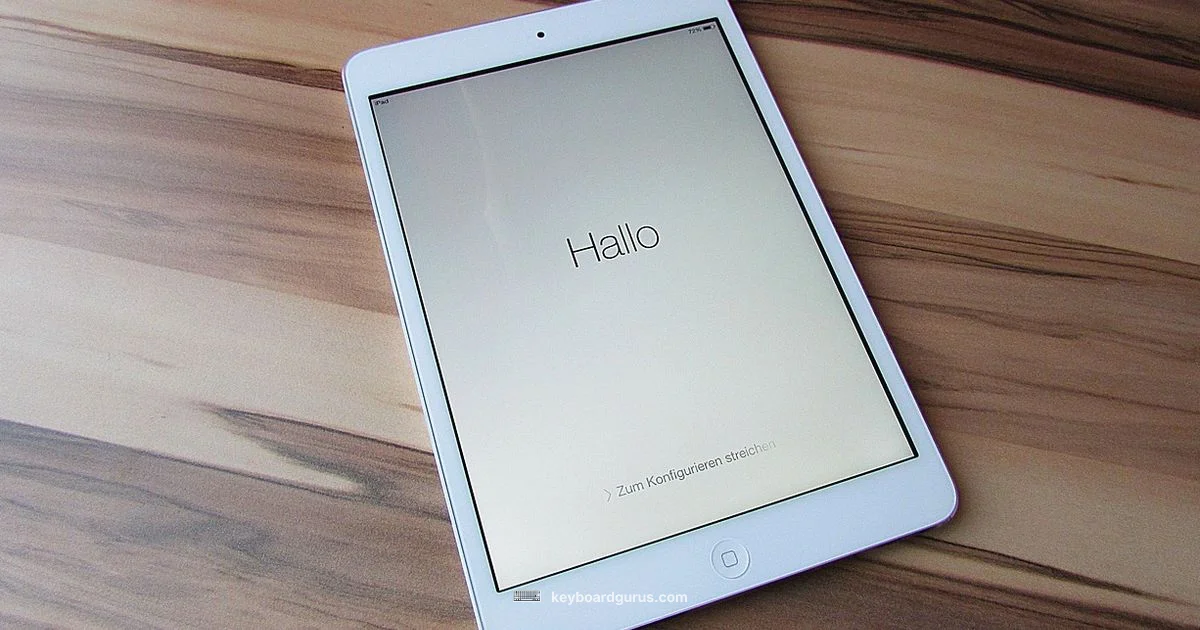 iPad mini Keyboard - Keyboard Gurus