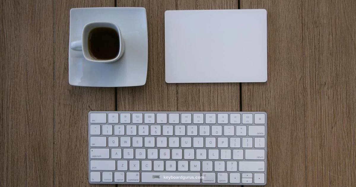 Flat Keyboard Guide - Keyboard Gurus