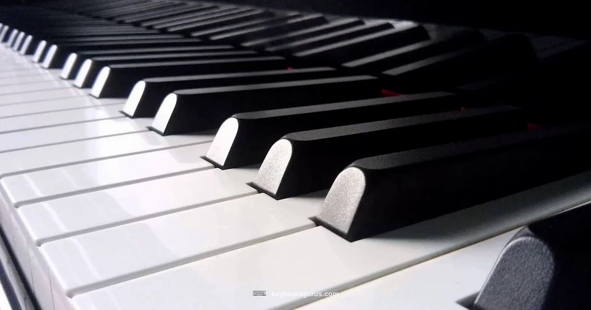 Beginner Keyboard Piano - Keyboard Gurus