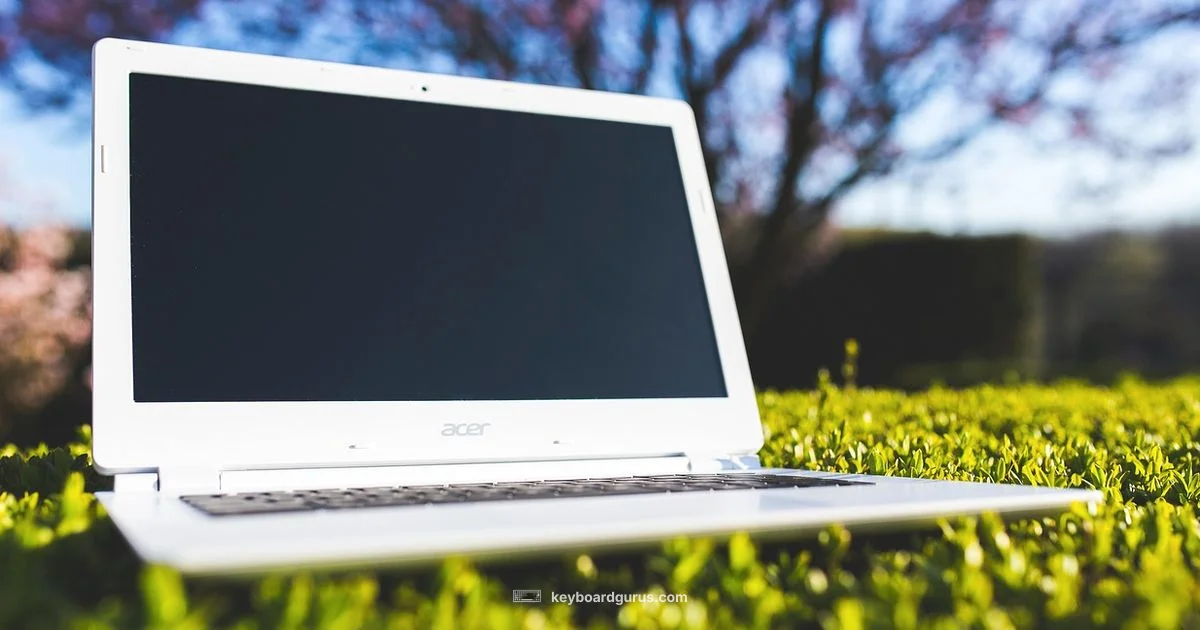Nitro 5 Backlit Keyboard - Keyboard Gurus