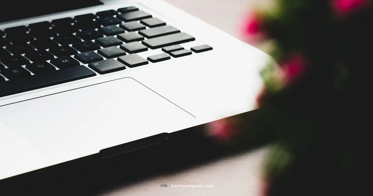 Keyboard Cover Guide - Keyboard Gurus