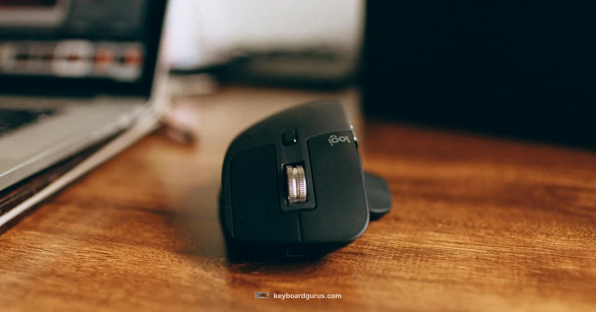 Wireless Input Essentials Wireless Input Essentials - Keyboard Gurus