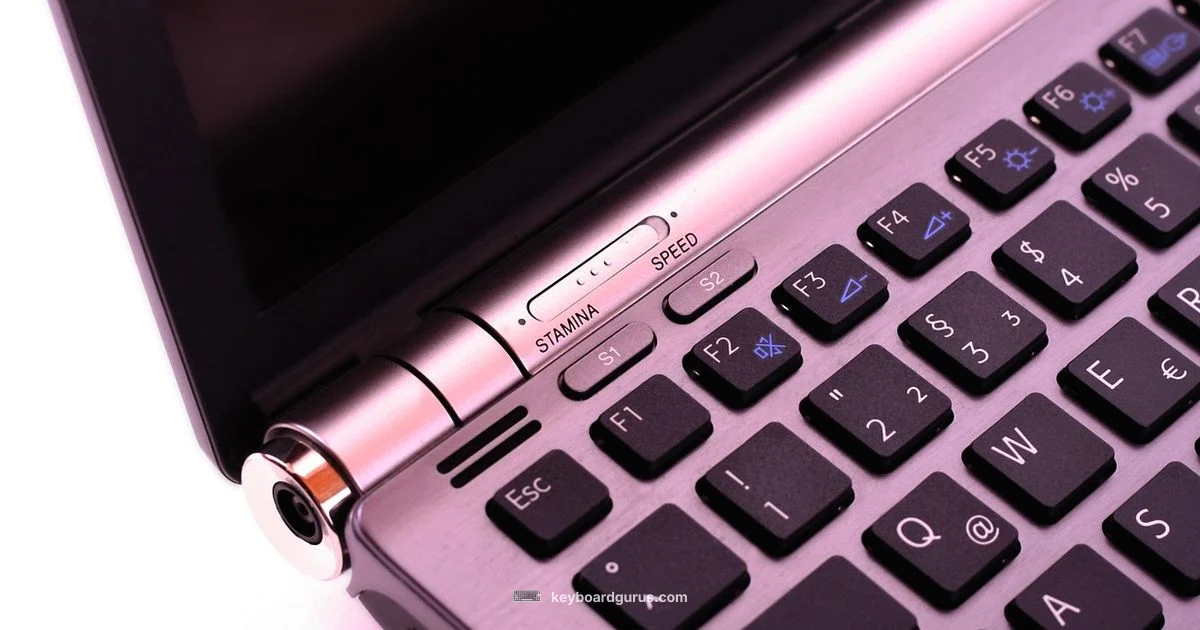 Backlit Keyboard - Keyboard Gurus