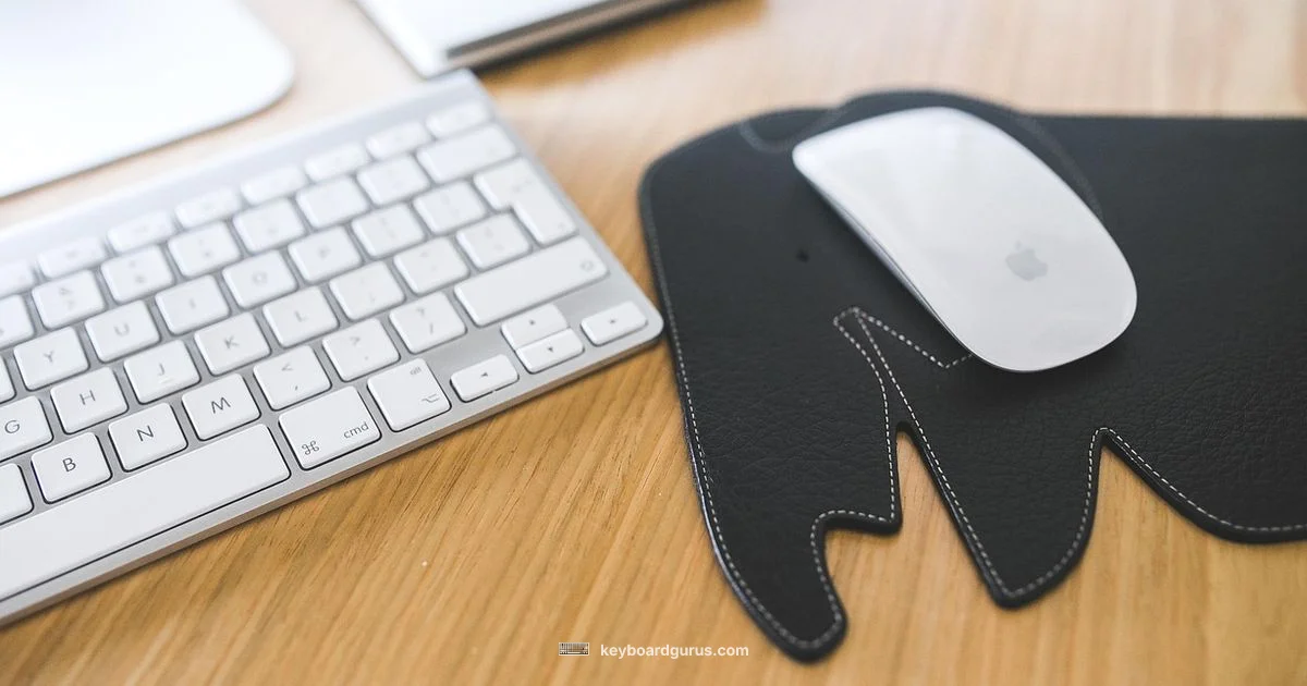 White Keyboard Cleanliness - Keyboard Gurus