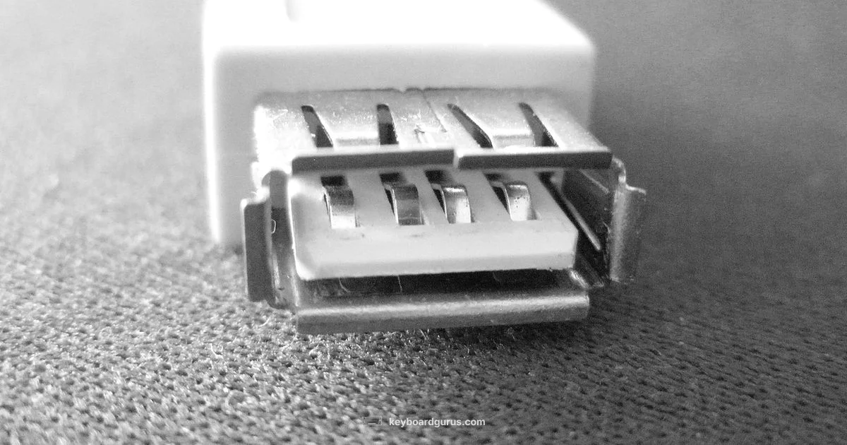 Sudden Keyboard Failure Sudden Keyboard Failure - Keyboard Gurus