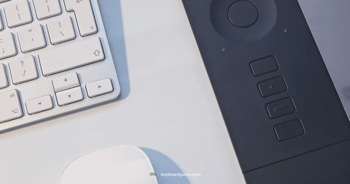 Beginner Keyboard Guide - Keyboard Gurus