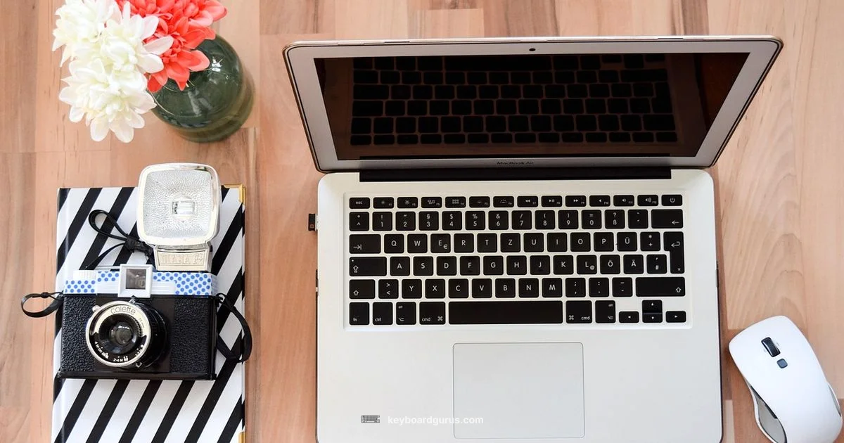 Backlit Keyboard - Keyboard Gurus