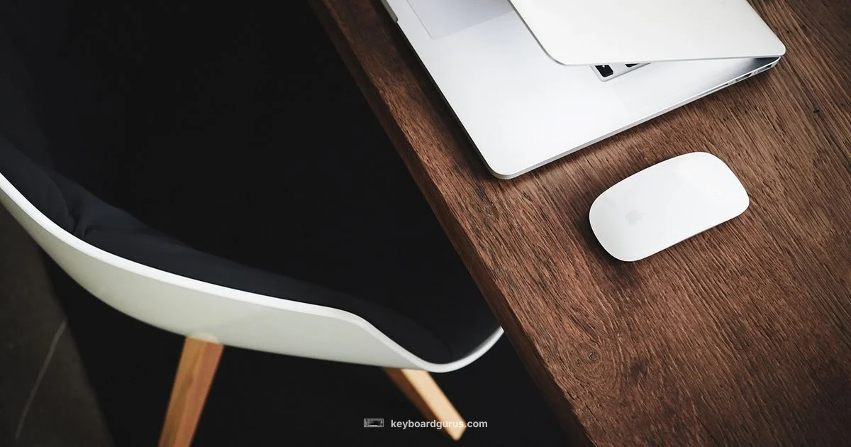 White Keyboard Look - Keyboard Gurus