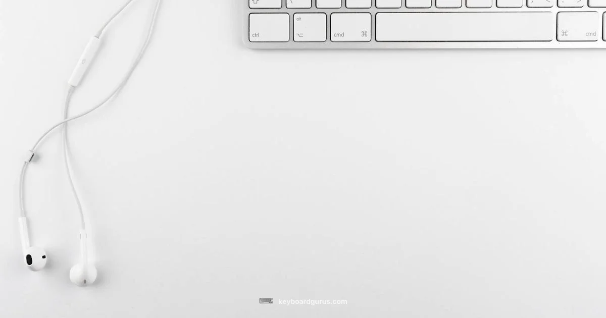 60 Percent Keyboard Guide 60 Percent Keyboard Guide - Keyboard Gurus