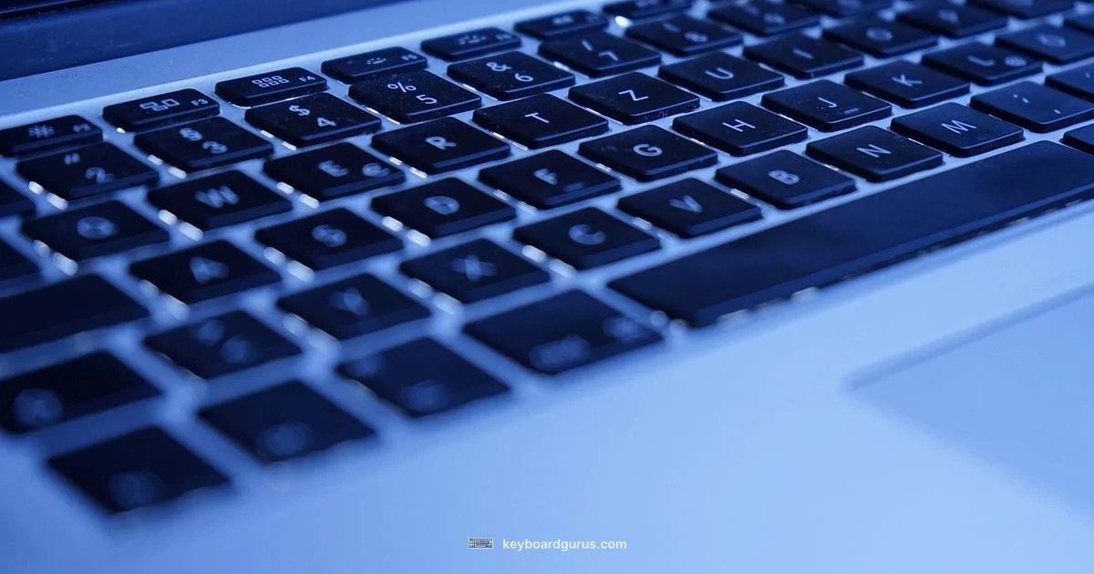 Keyboard Light Setup - Keyboard Gurus