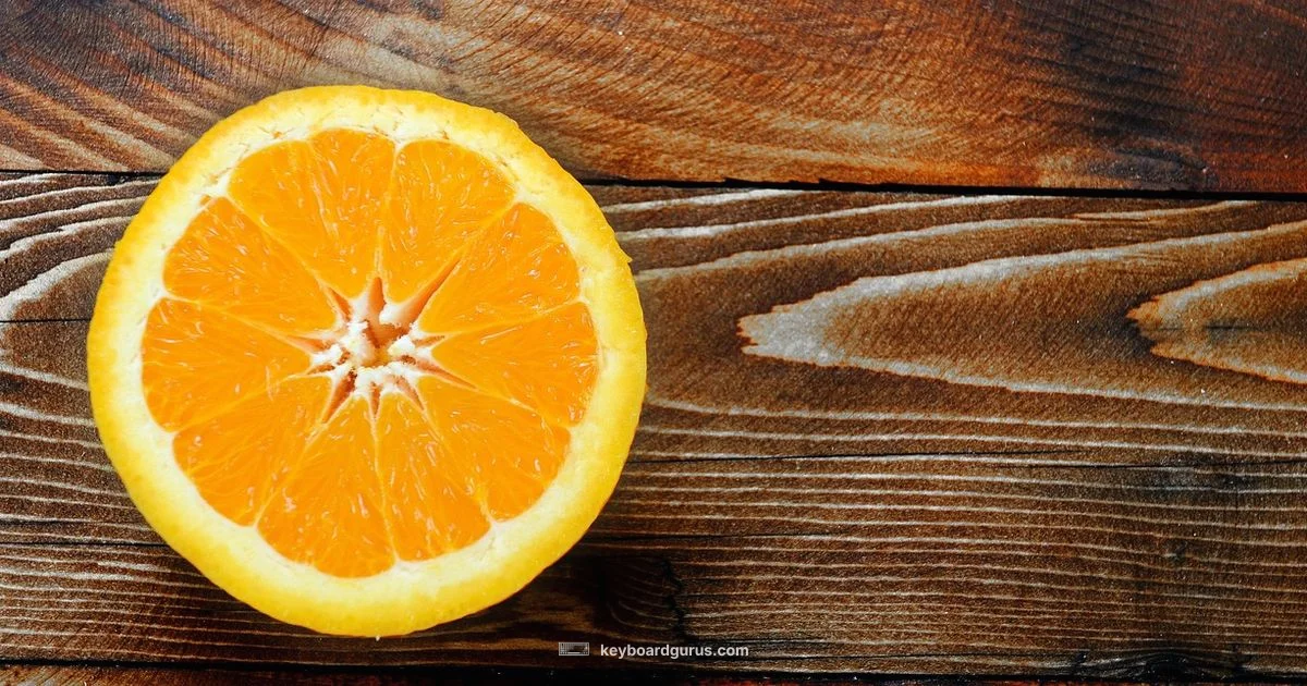 Premium Gasket Keyboard - Keyboard Gurus