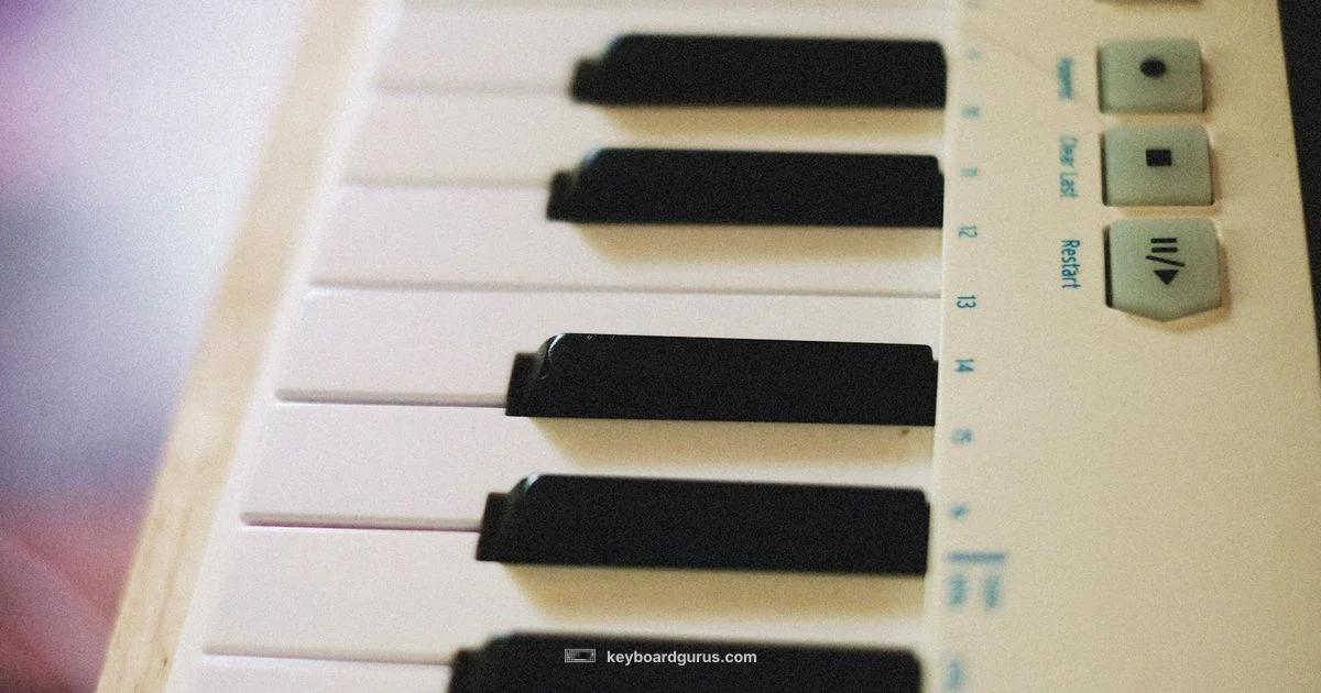 Built in Synthesis - Keyboard Gurus