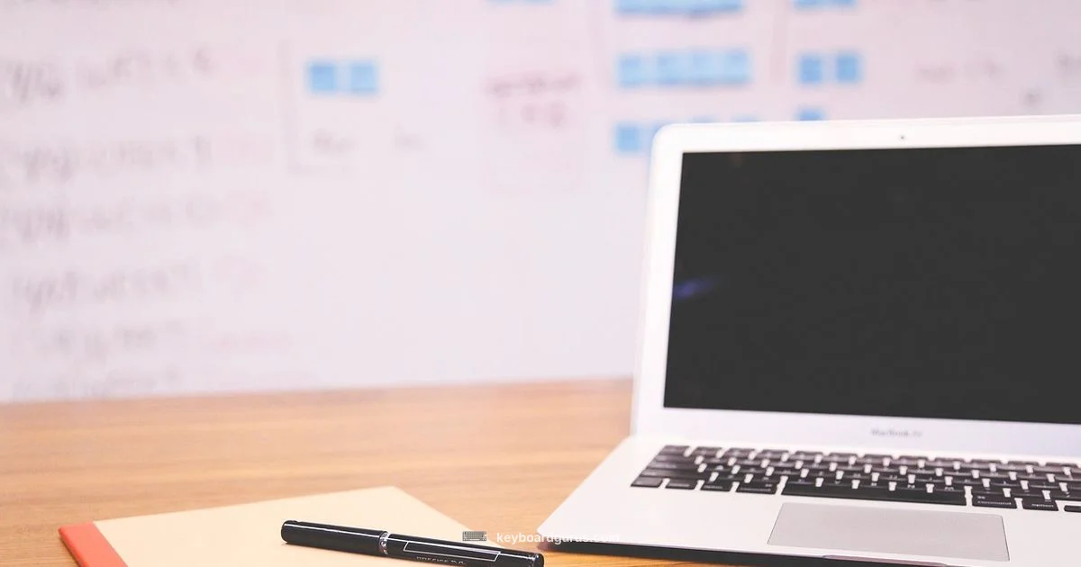 Fn Key Basics - Keyboard Gurus