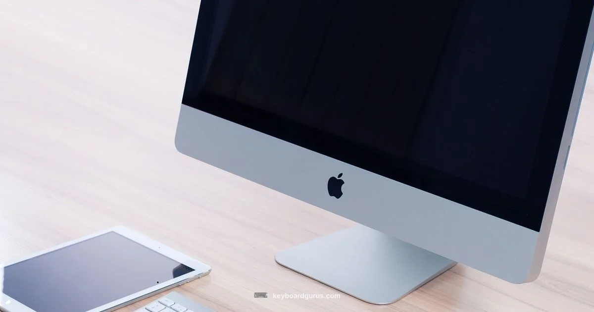 iPad Keyboard Case Guide - Keyboard Gurus