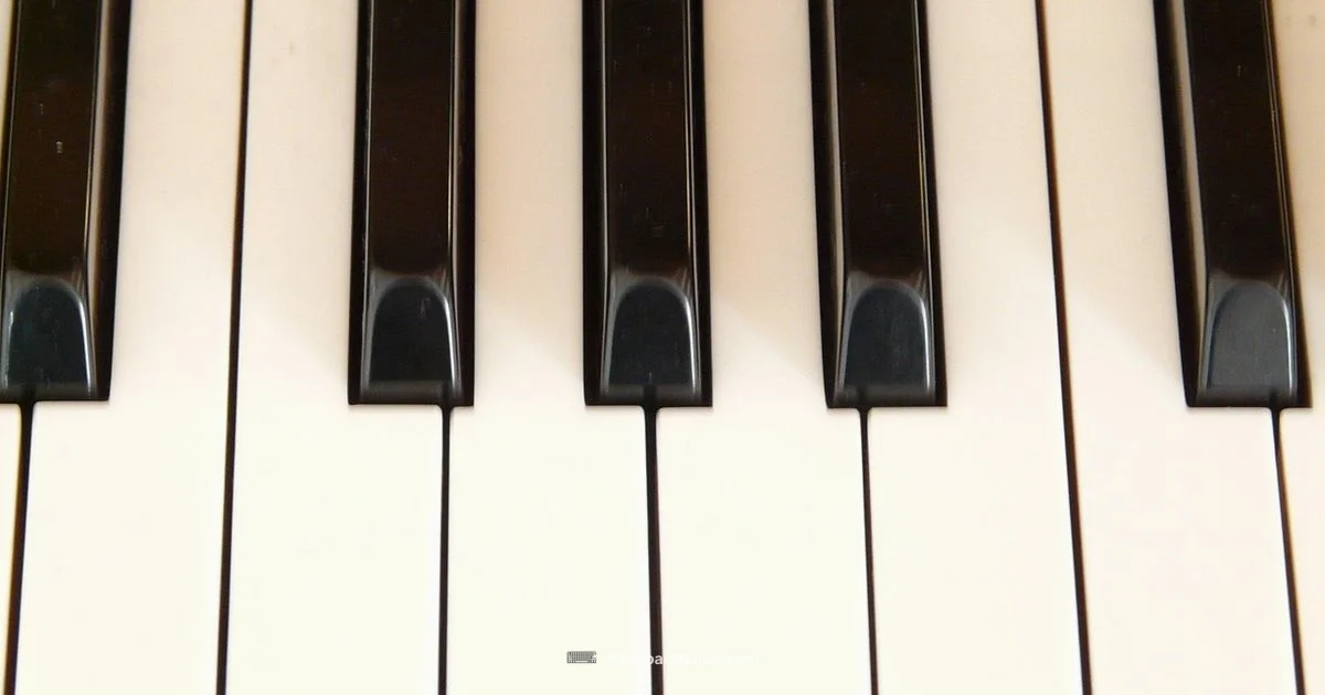 Best Beginner Keyboard - Keyboard Gurus