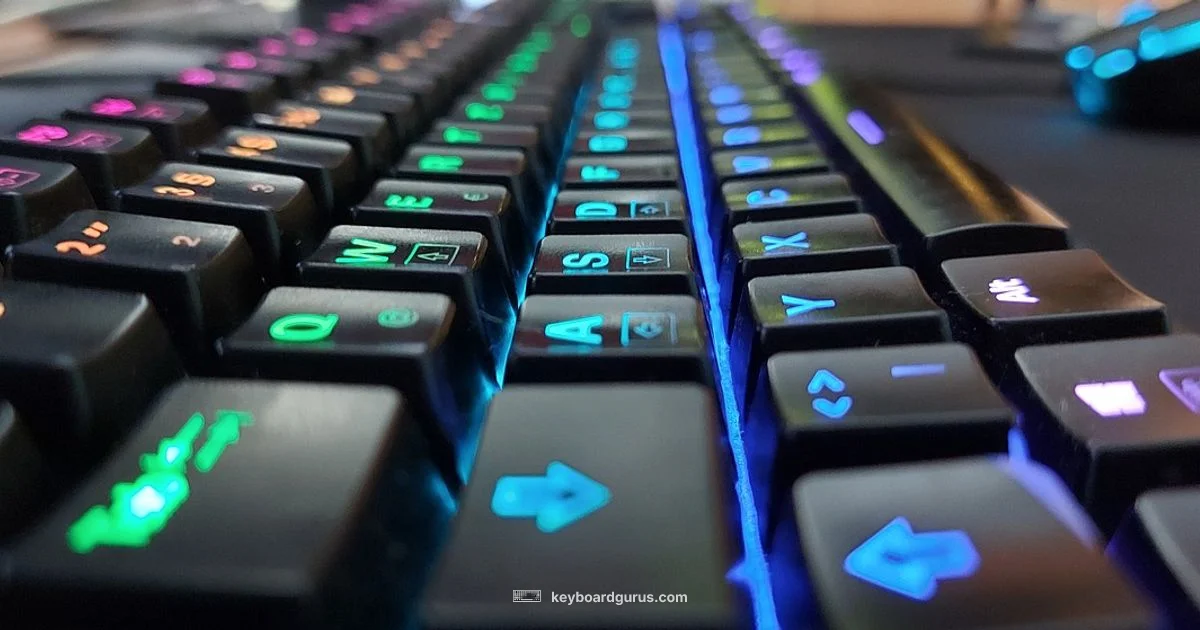 Polling Rate Essentials - Keyboard Gurus