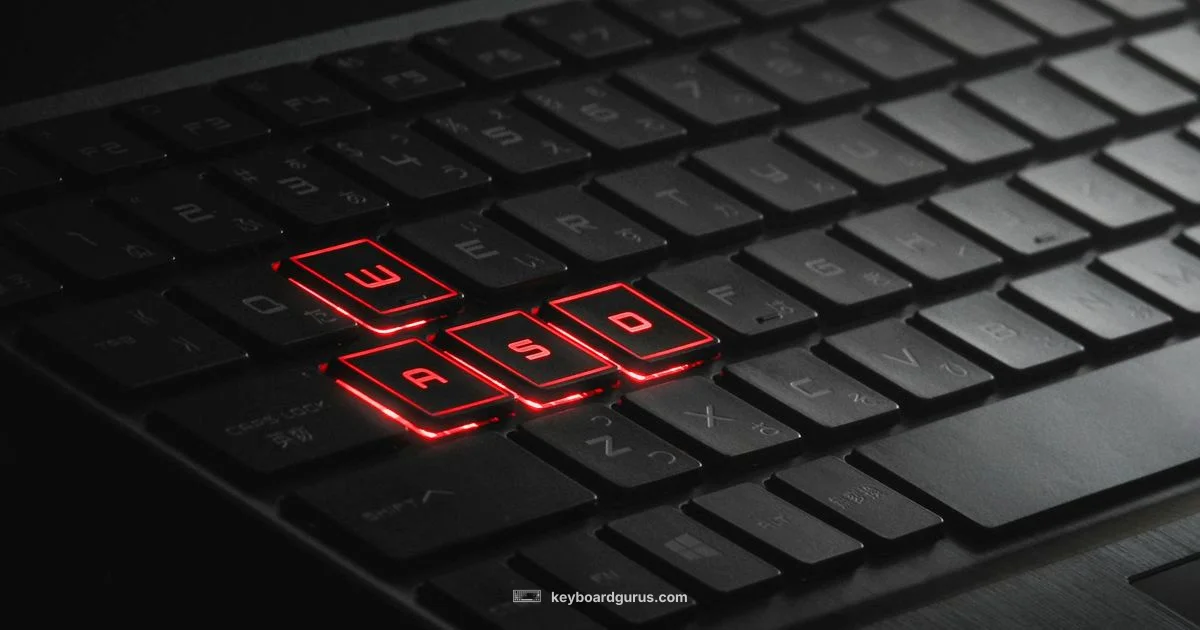 ASUS Backlight Guide - Keyboard Gurus