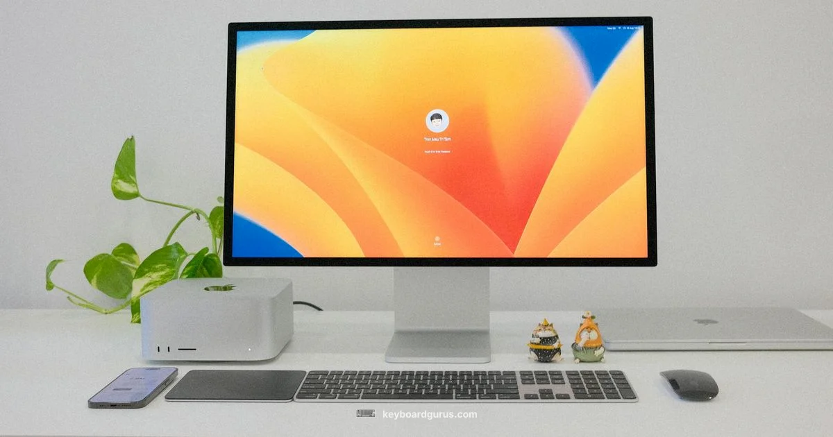 Ergo Keyboard Microsoft - Keyboard Gurus