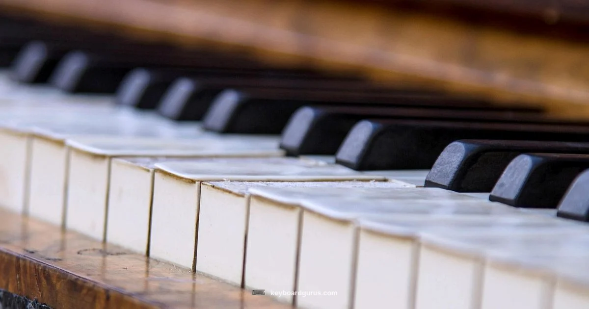 Note Chart Basics - Keyboard Gurus