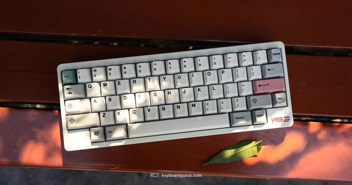 Powering Keyboards - Keyboard Gurus