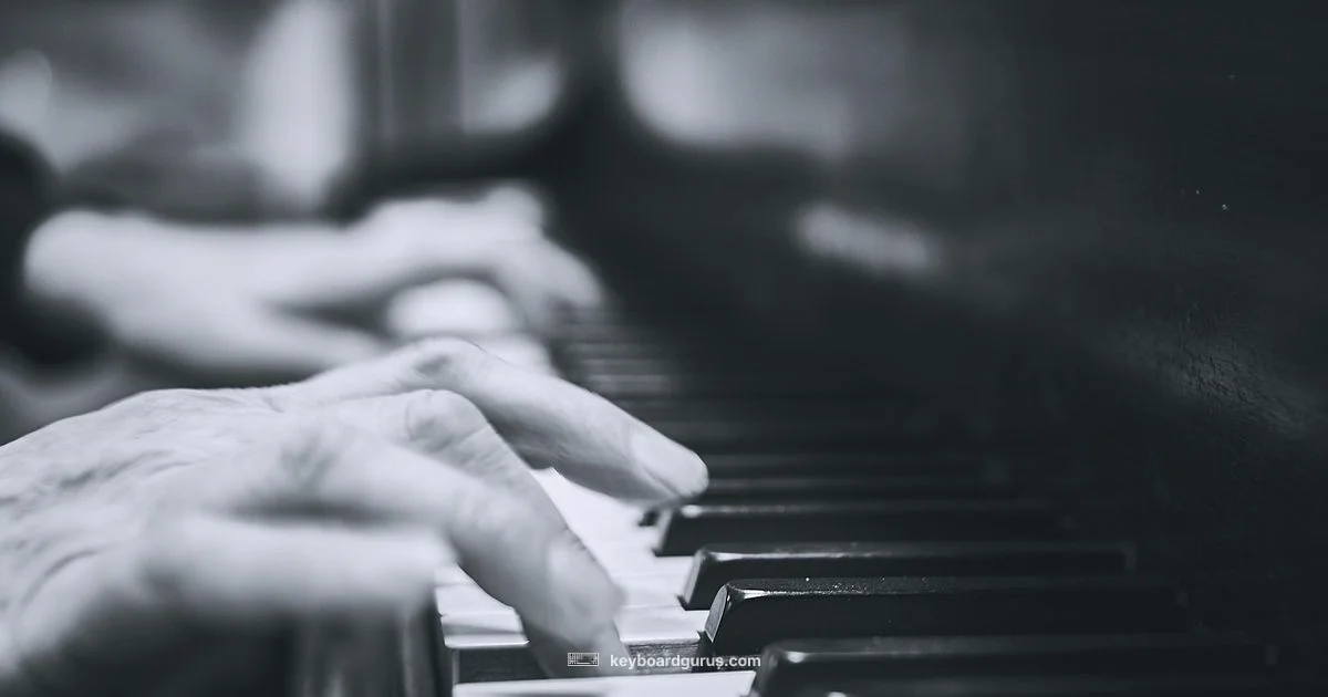 Keyboard Look Guide - Keyboard Gurus