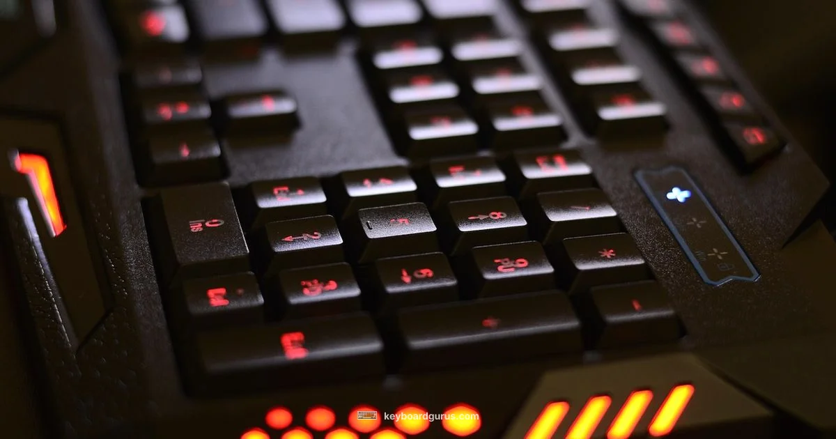 Turn Off Backlights - Keyboard Gurus