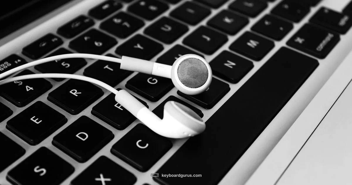 Keyboard Backlight Guide - Keyboard Gurus