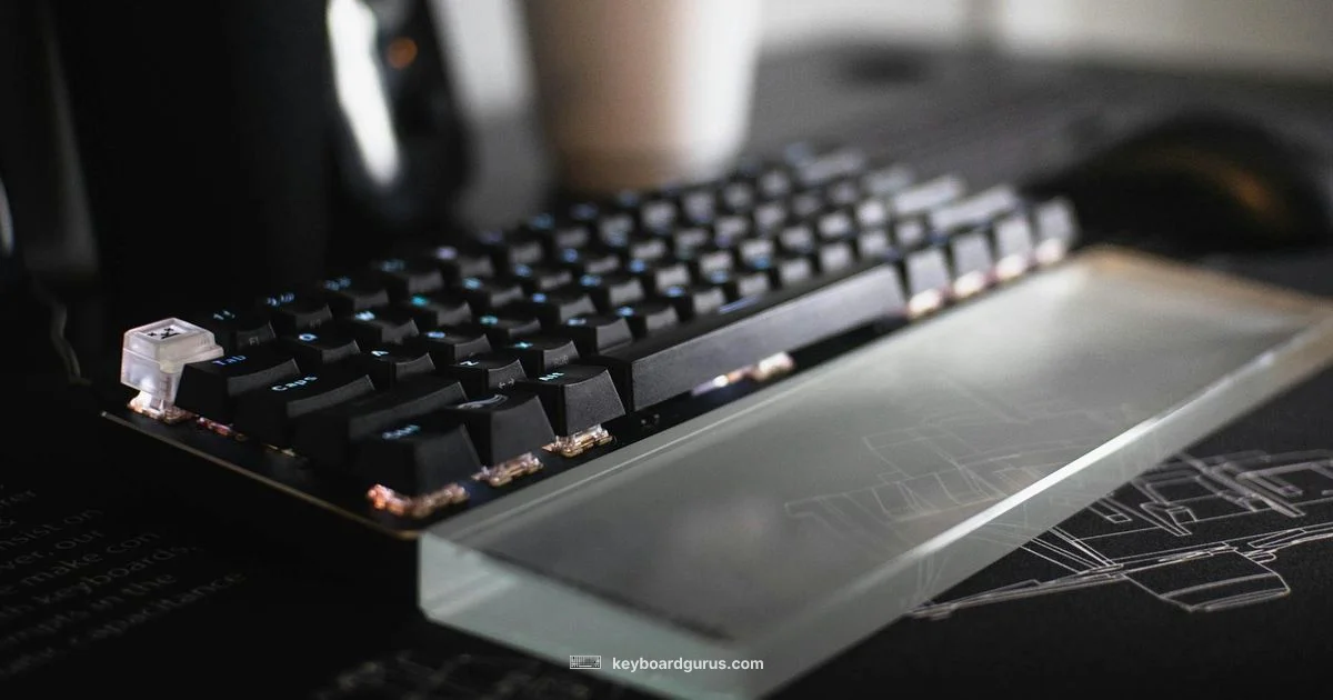 Keyboard Evolution - Keyboard Gurus