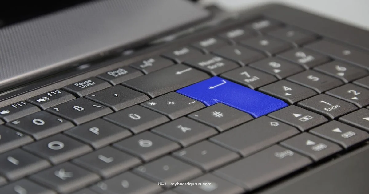 Function Keys Overview - Keyboard Gurus