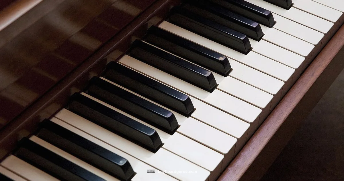 Quiet Keyboard Guide - Keyboard Gurus