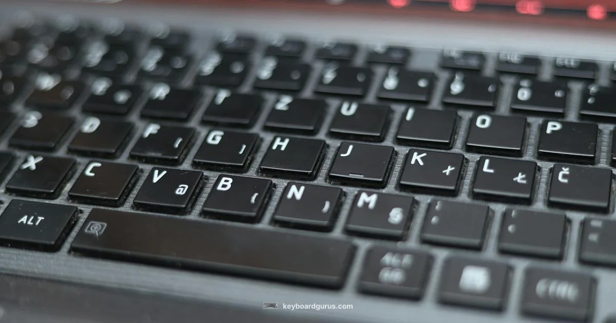 HP Black Keyboard - Keyboard Gurus