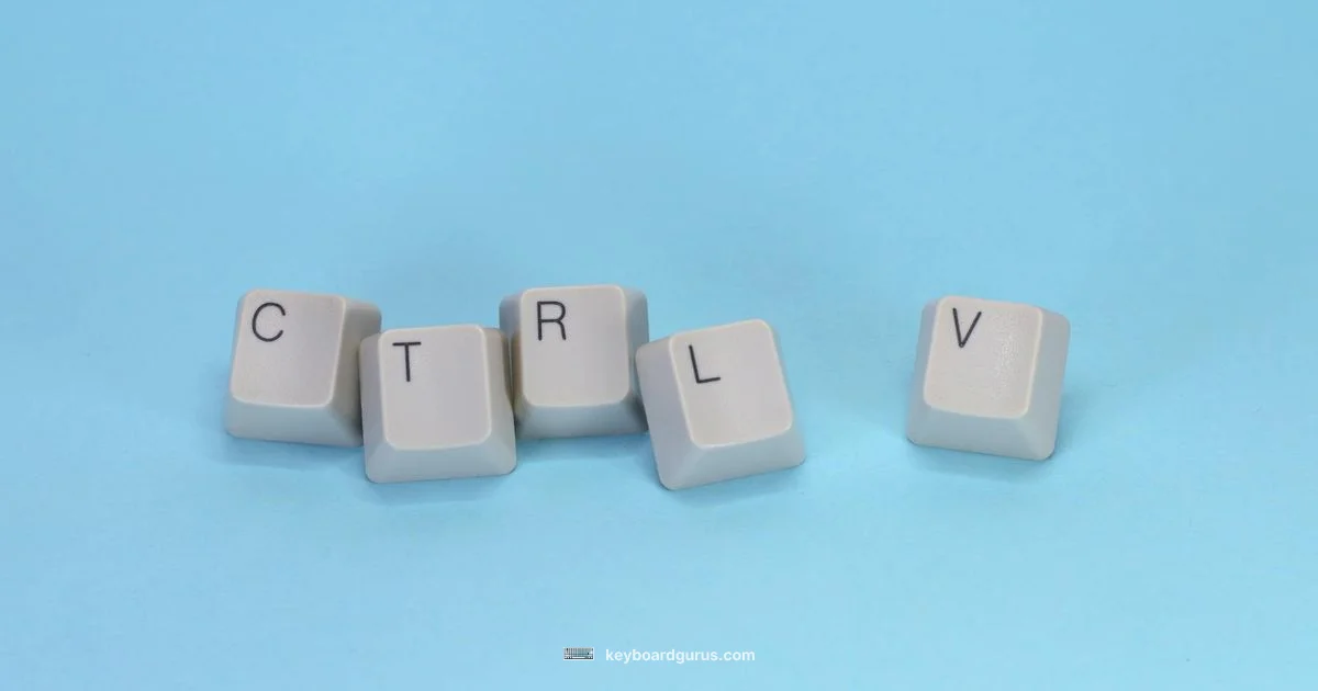 Shortcut Cleanup - Keyboard Gurus