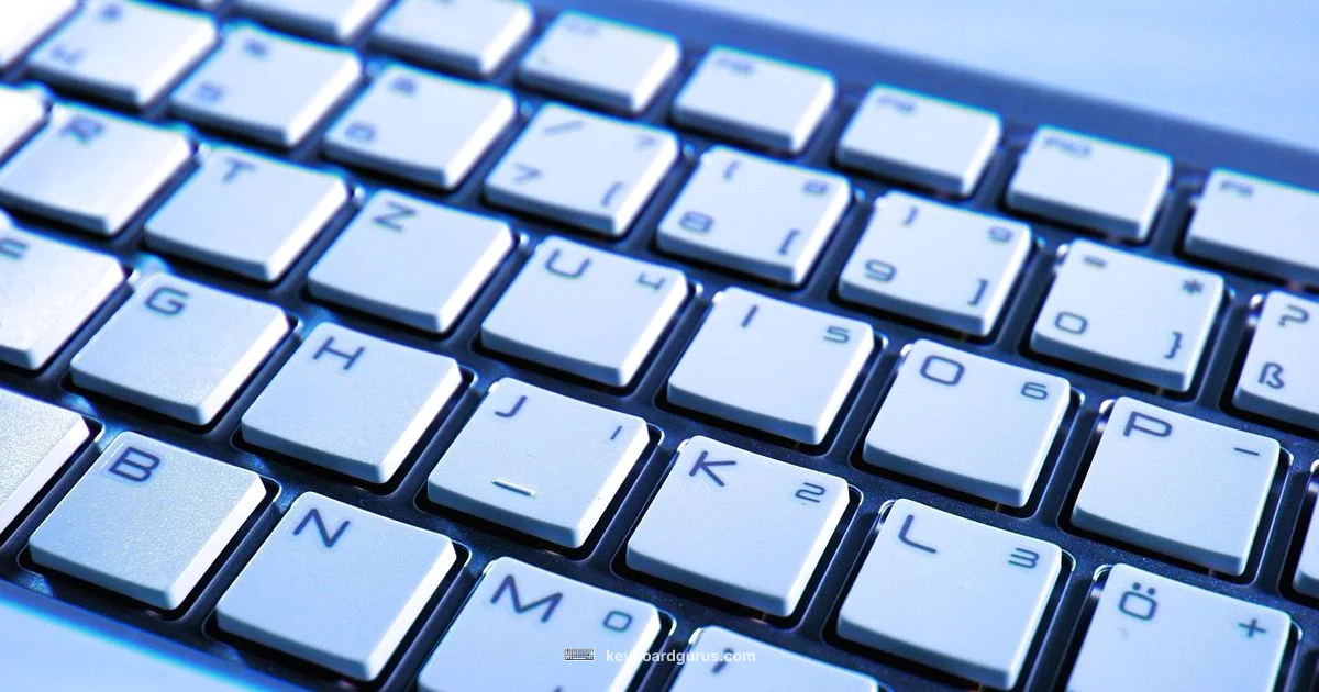 Inside Switches - Keyboard Gurus