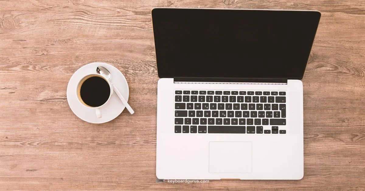 Keyboard and Monitor - Keyboard Gurus