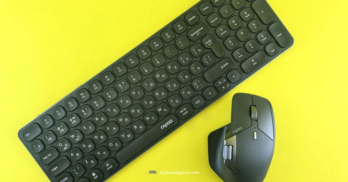 MX Keys Advanced Overview - Keyboard Gurus