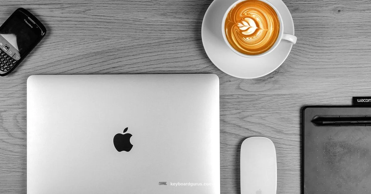 Adult Keyboard Setup - Keyboard Gurus