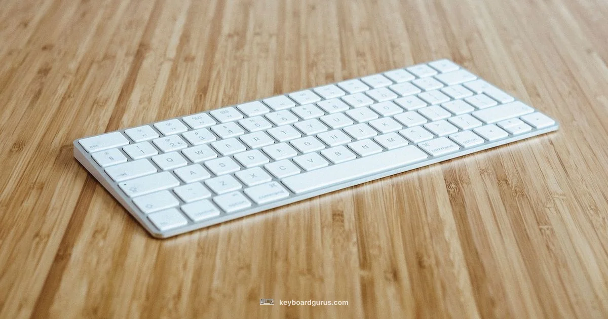 Input Showdown - Keyboard Gurus