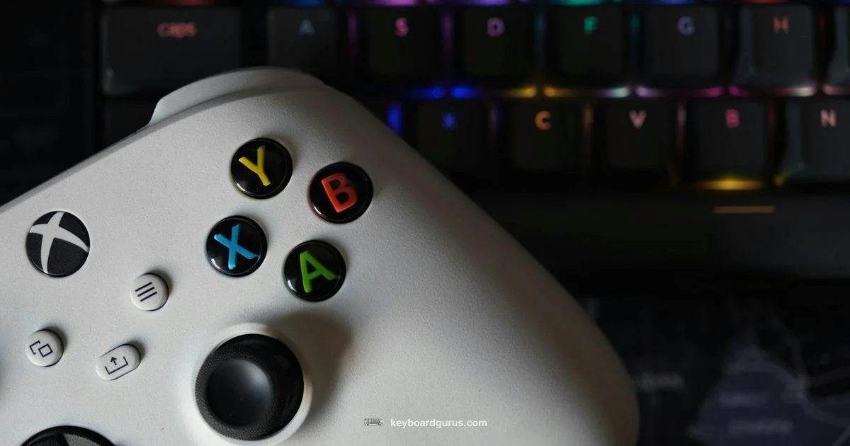 Input Showdown Input Showdown - Keyboard Gurus