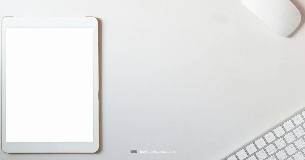 iPad Pro 11 Keyboard - Keyboard Gurus
