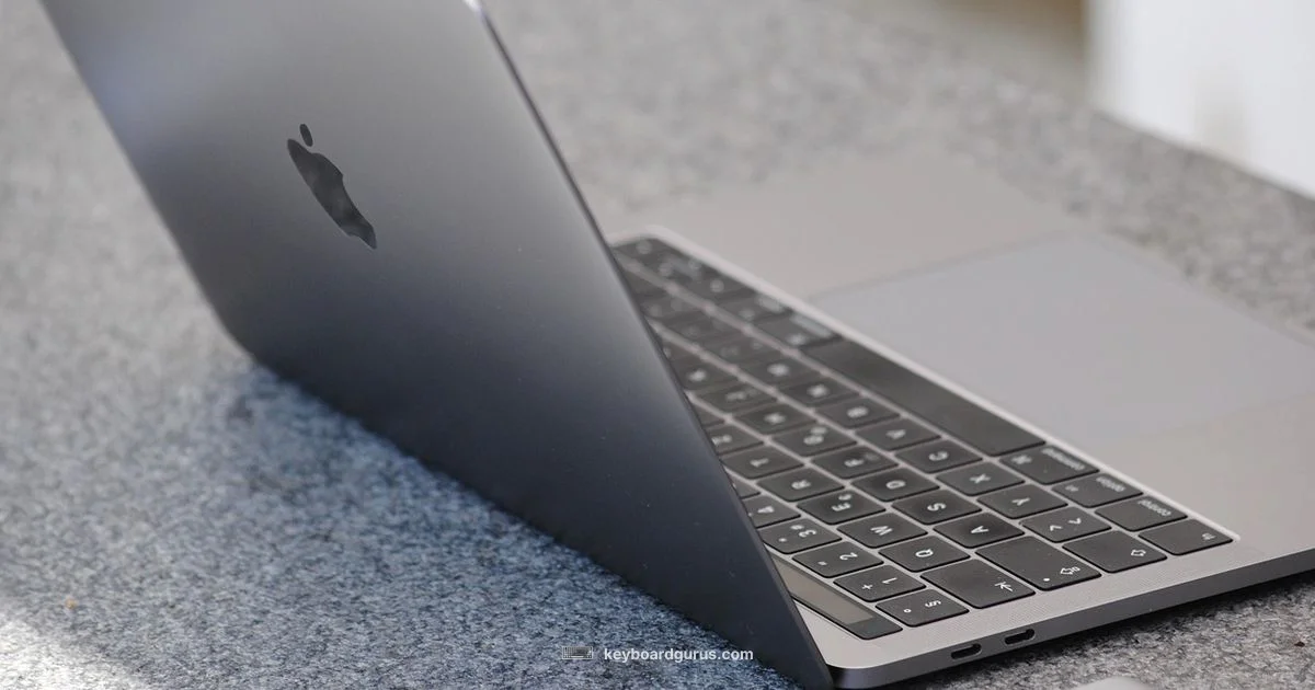 Light Keyboard Setup Light Keyboard Setup - Keyboard Gurus