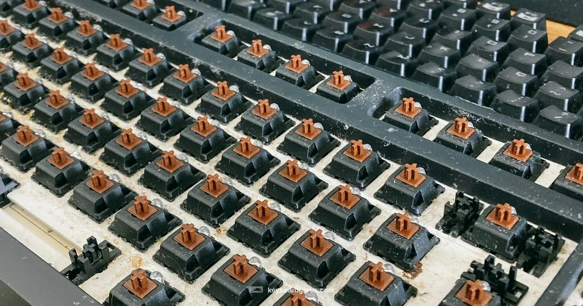 Lubing Guide - Keyboard Gurus