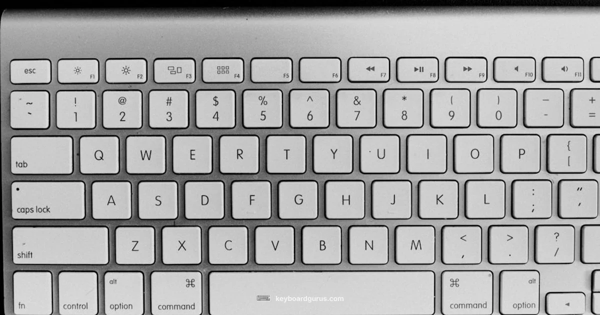 Old Keyboard Feel - Keyboard Gurus